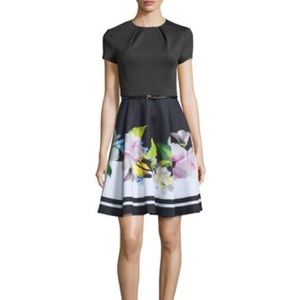 Ted Baker Vidaa Fit and Flare Dress